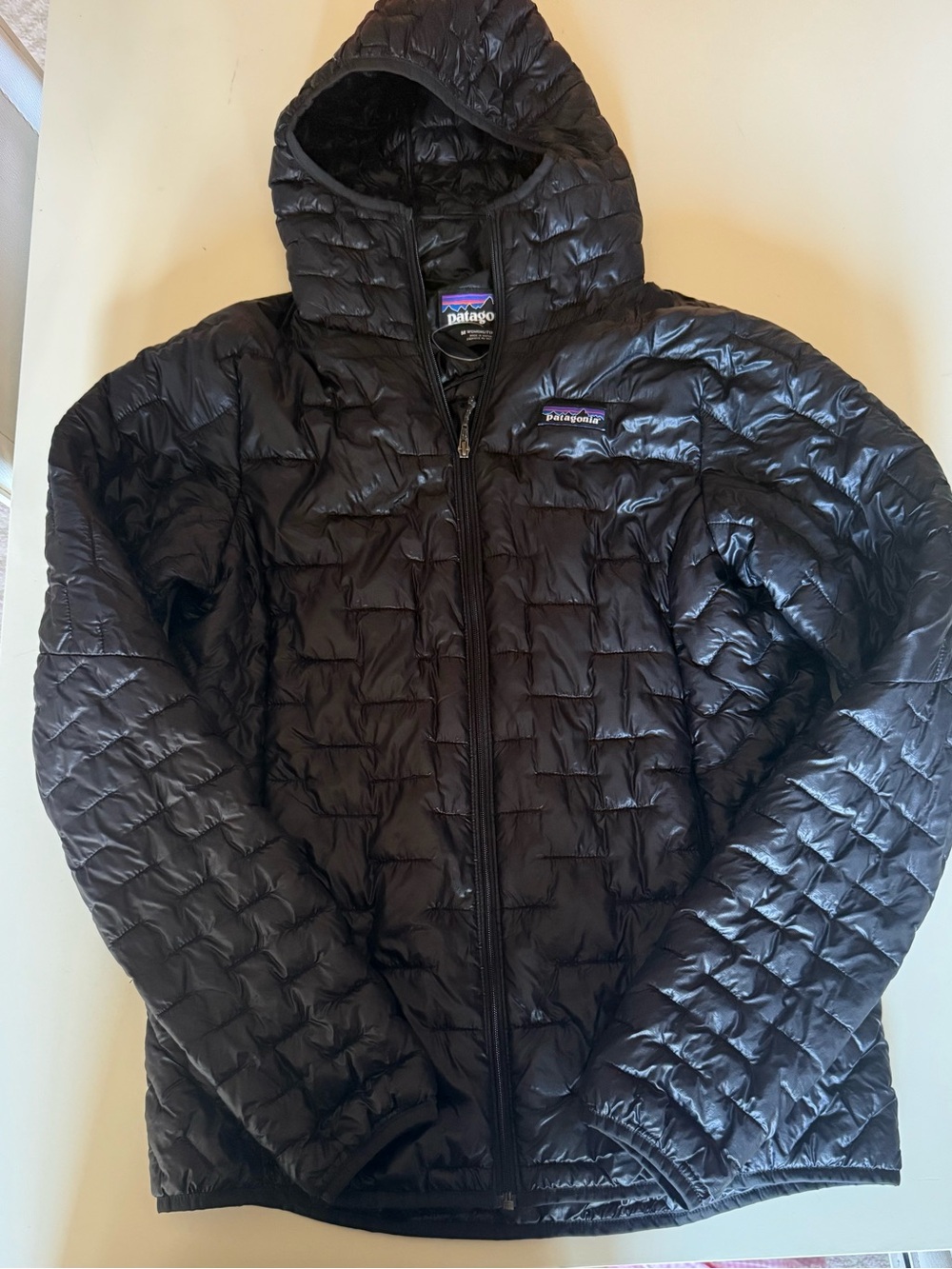 Patagonia Men’s Black Quilted Hooded Puffer Jacket